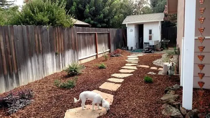 Local lawn mowing service near you across Yolo, CA - Jimenez Landscape