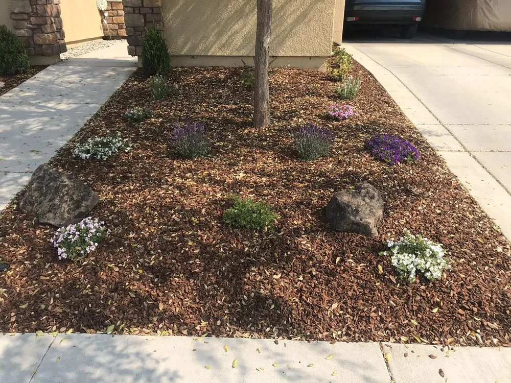 Expert lawn mowing service in Yolo, CA - Jimenez Landscape