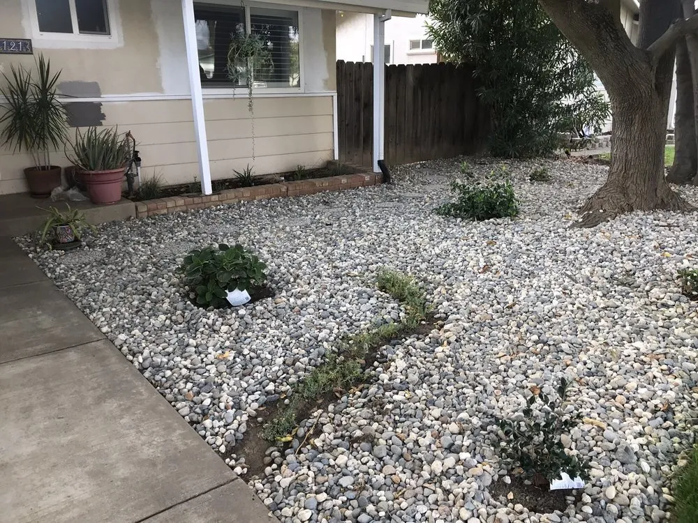 Custom lawn mowing service in Yolo, CA - Jimenez Landscape