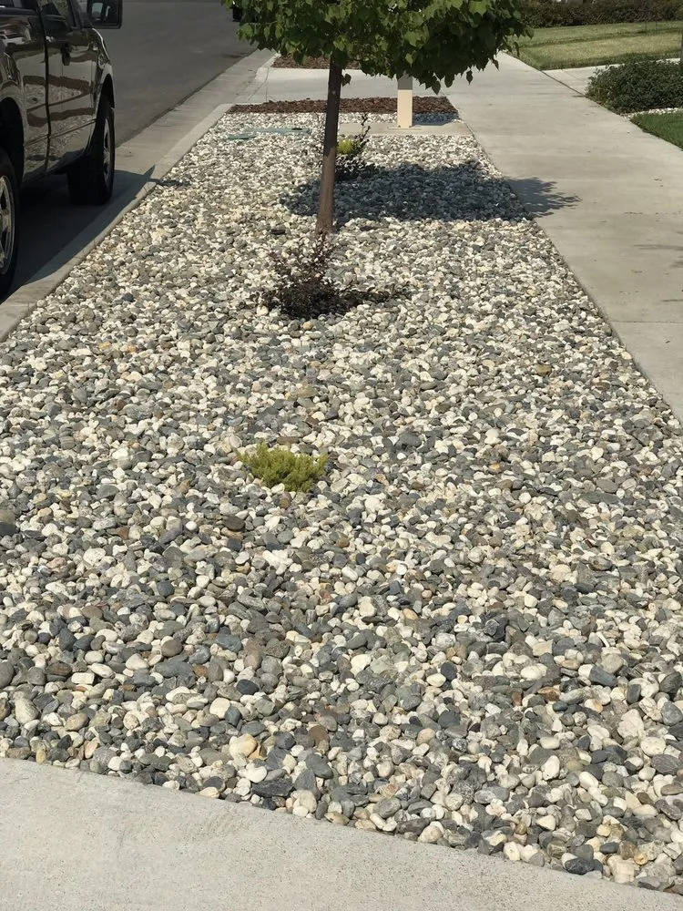 Professional landscape design in Yolo, CA - Jimenez Landscape