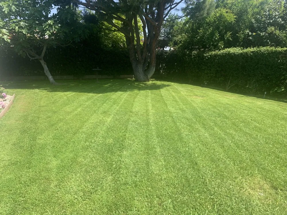 Reliable garden landscaping for year-round maintenance across Palmdale, CA - Jimenez Landscaping & Tree Services