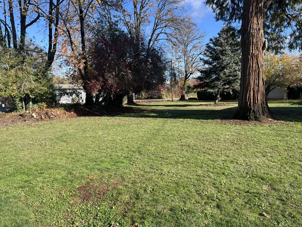 Affordable landscape installation for homes in Albany, OR by Jimenez landscaping