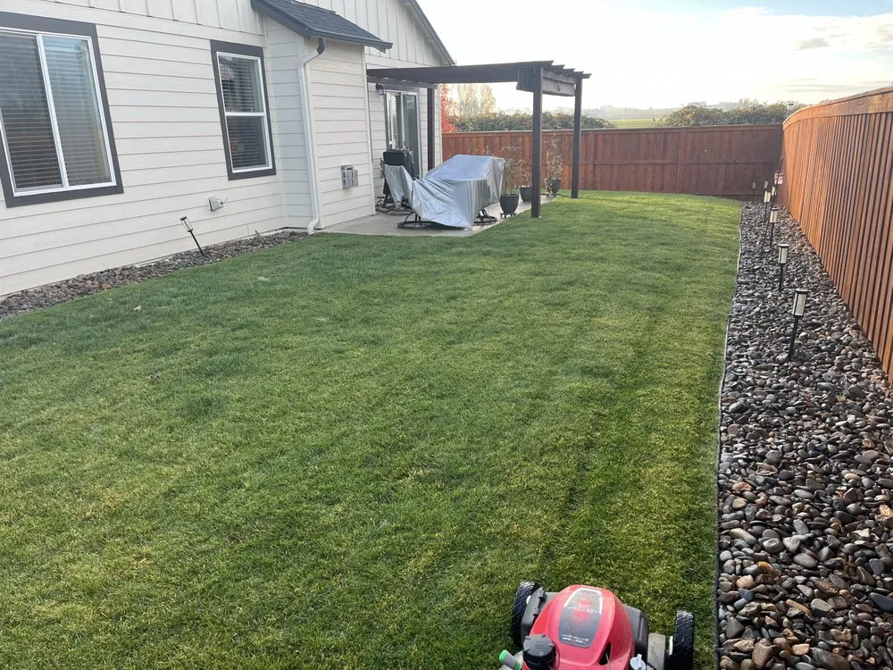Trusted landscaping services in Albany, OR by Jimenez landscaping