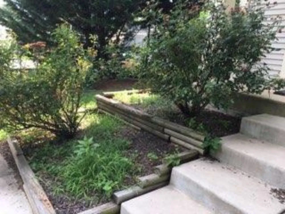 Local yard maintenance in Alexandria, VA by Jimenez Landscaping