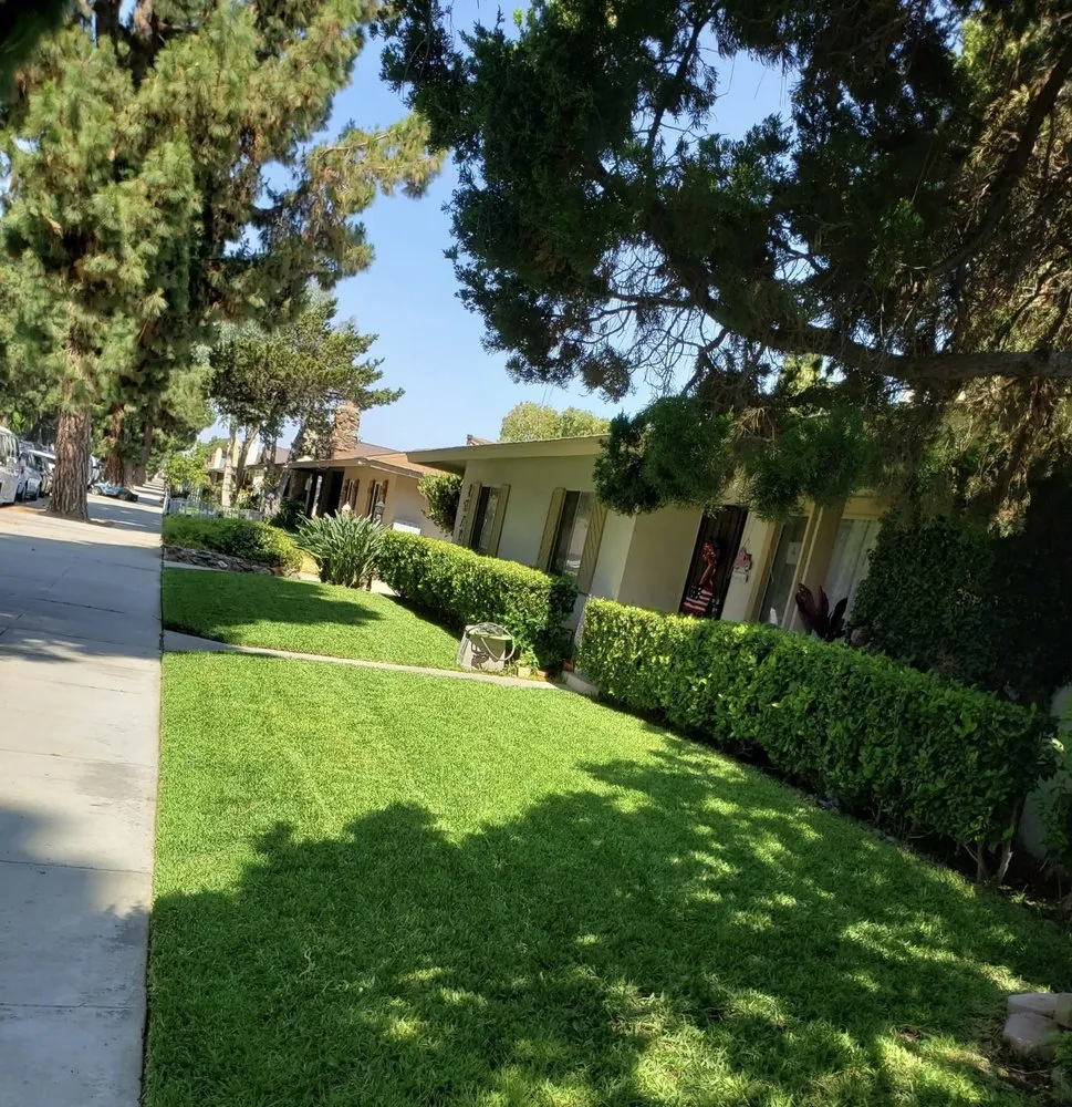 Local yard cleanup service in Anaheim, CA - Jimenez Landscaping