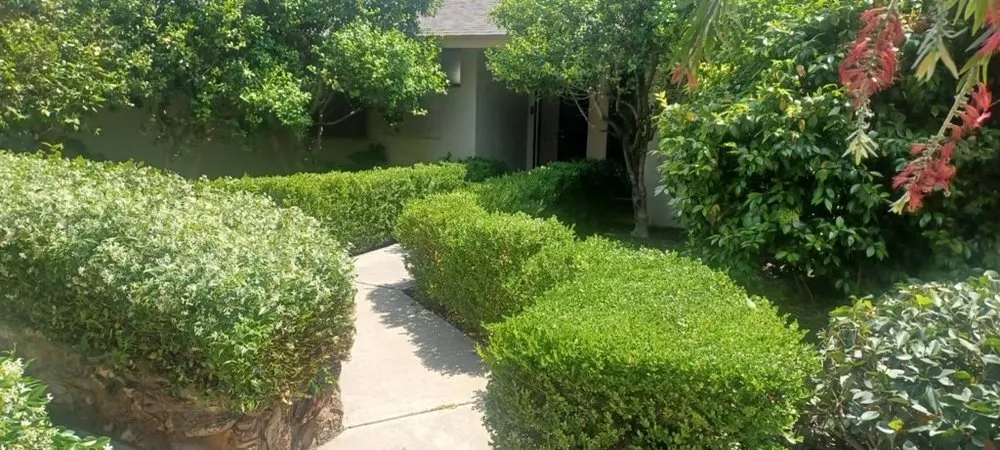 Affordable residential landscaping near you in Anaheim, CA by Jimenez Landscaping