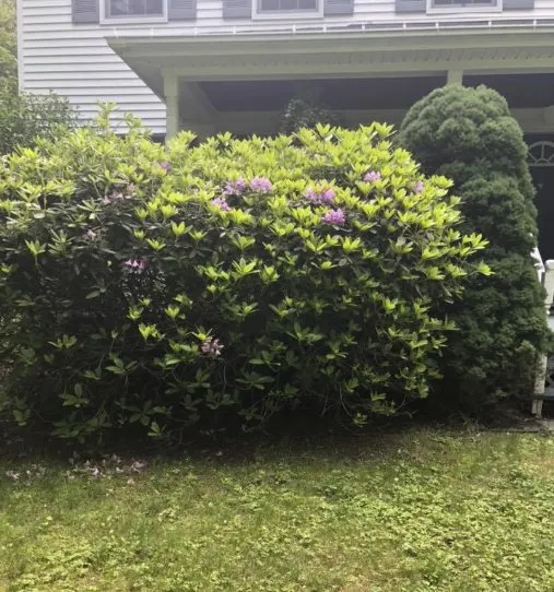 Affordable landscape design for beautiful yards in Kingston, NY by Jimenez Landscaping and Construction