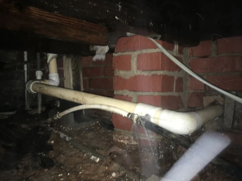 Expert yard maintenance for year-round maintenance across Birmingham, AL - Jimenez landscaping