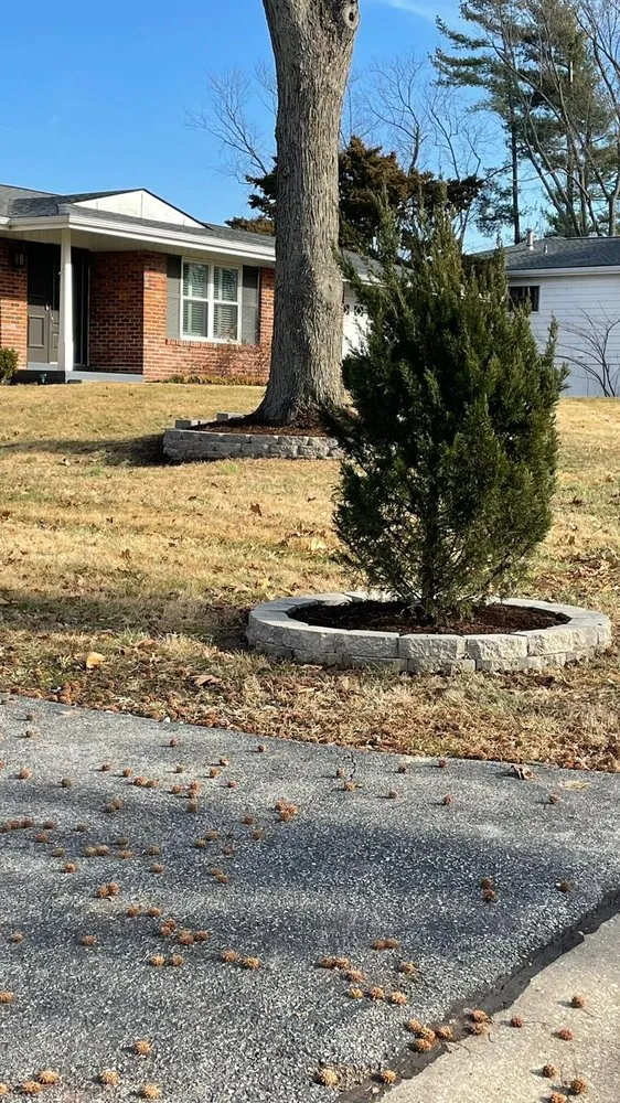 Top-rated yard maintenance experts serving Breckenridge Hills, MO - Jimenez Landscaping