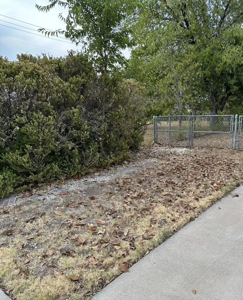 Trusted garden landscaping for residential properties across Killeen, TX - Jimenez Landscaping