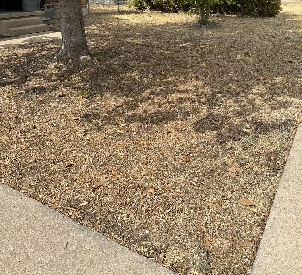 Custom lawn care service for residential properties across Killeen, TX - Jimenez Landscaping