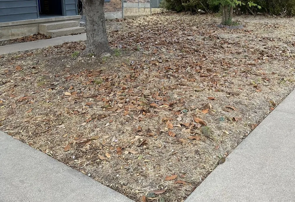 Top-rated landscape design in Killeen, TX by Jimenez Landscaping