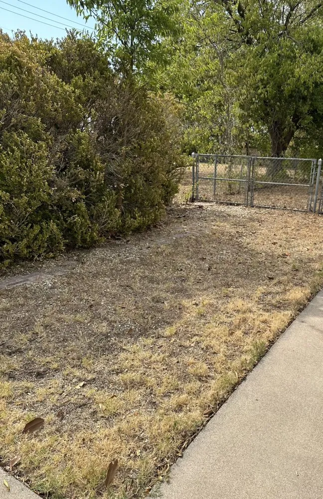 Custom lawn mowing service in Killeen, TX by Jimenez Landscaping