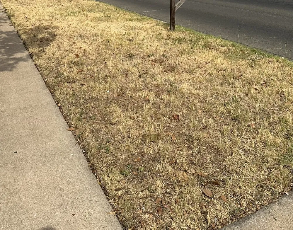 Top-rated lawn mowing service experts serving Killeen, TX - Jimenez Landscaping