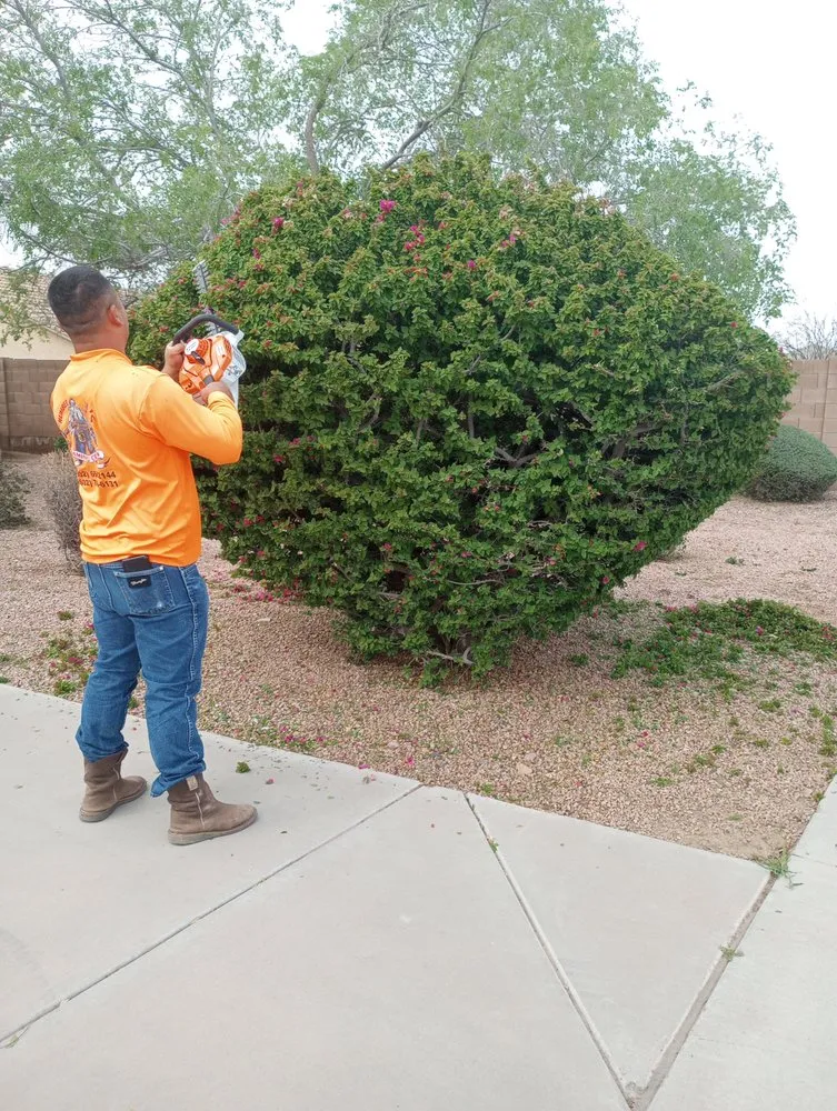 Trusted lawn care service in Phoenix, AZ by Jimenez Landscaping