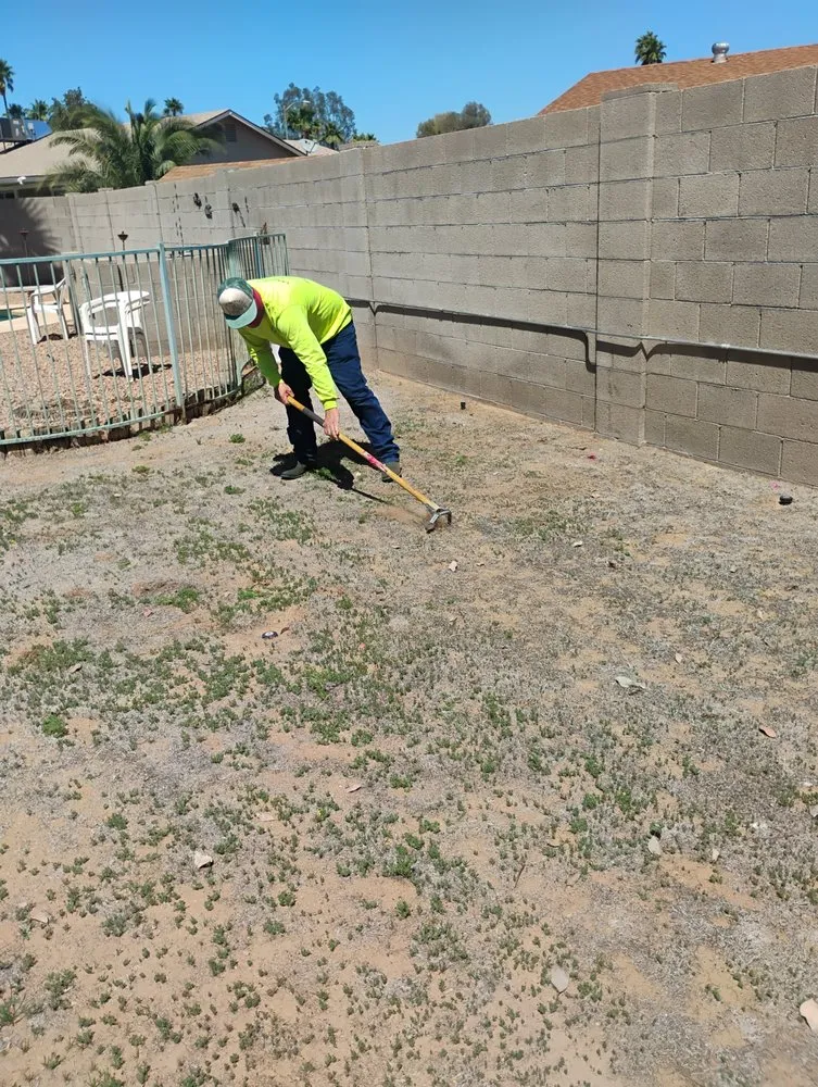 Local yard maintenance in Phoenix, AZ - Jimenez Landscaping