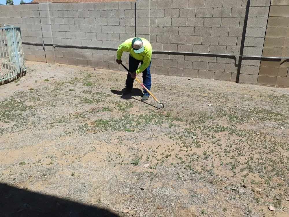 Affordable lawn mowing service experts serving Phoenix, AZ - Jimenez Landscaping