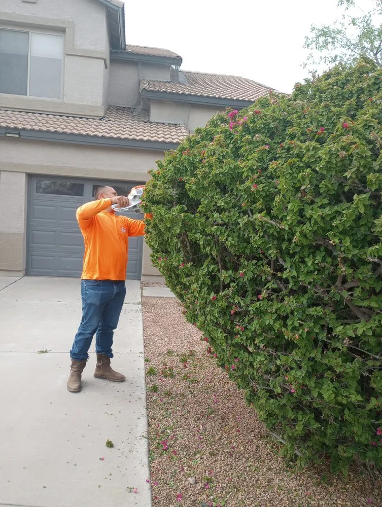 Trusted lawn mowing service for residential properties in Phoenix, AZ by Jimenez Landscaping