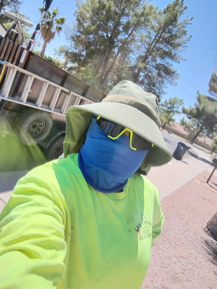 Custom landscape installation in Phoenix, AZ - Jimenez Landscaping