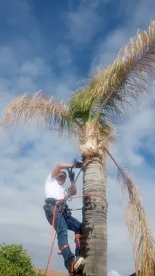 Jimenez Landscaping Logo