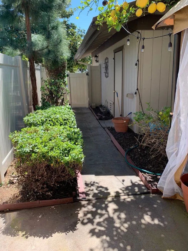 Custom lawn care service experts serving San Diego, CA - Jimenez Landscaping