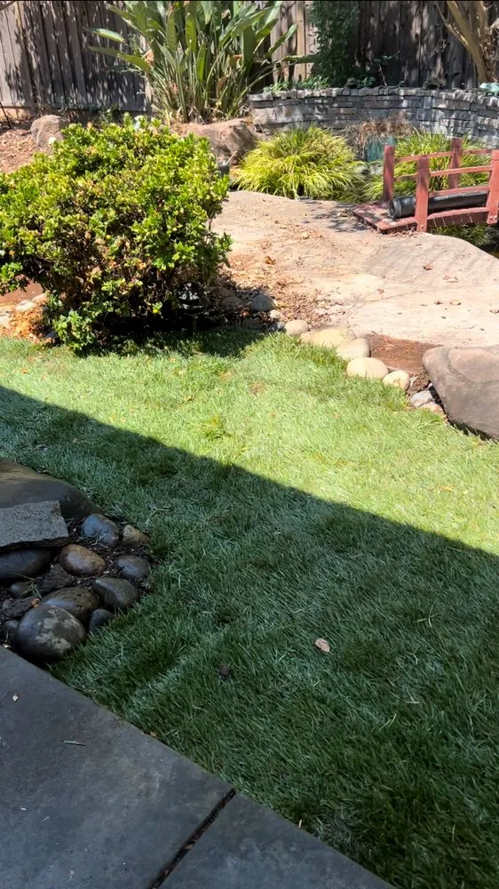 Affordable residential landscaping with custom design across Santa Clara, CA - Jimenez Landscaping