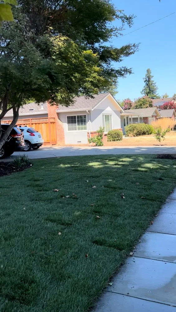 Custom lawn care service for year-round maintenance across Santa Clara, CA - Jimenez Landscaping
