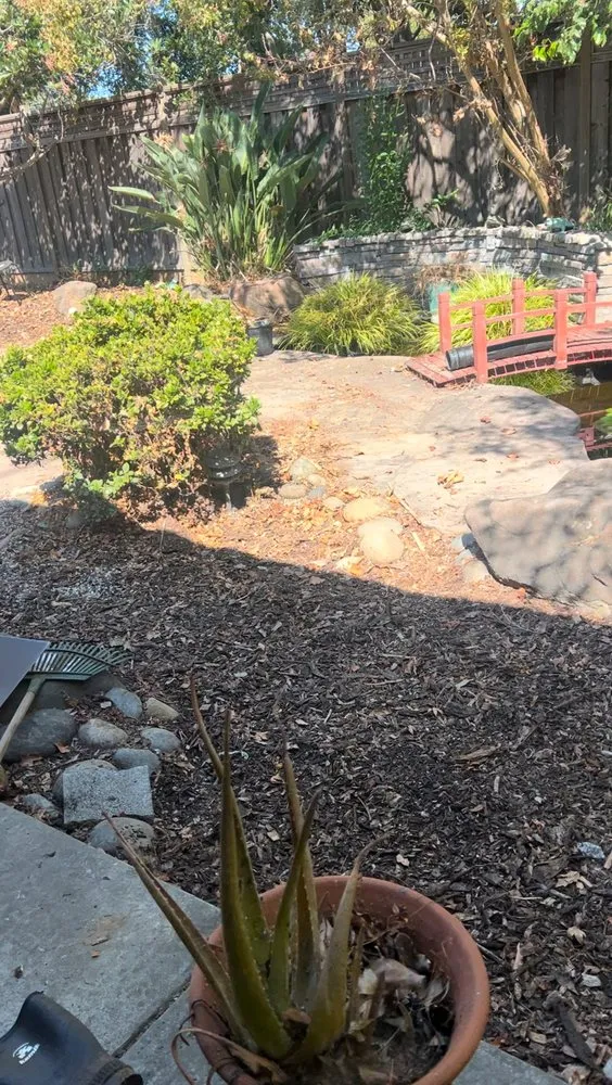 Trusted lawn mowing service for beautiful yards across Santa Clara, CA - Jimenez Landscaping