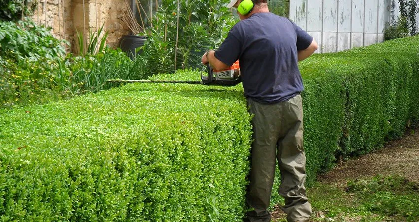 Custom yard cleanup service in Damascus, MD by Jimenez Landscaping Service