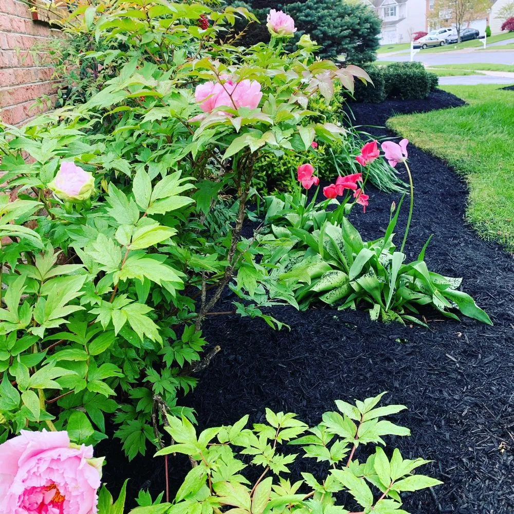 Trusted residential landscaping for homes across Damascus, MD - Jimenez Landscaping Service