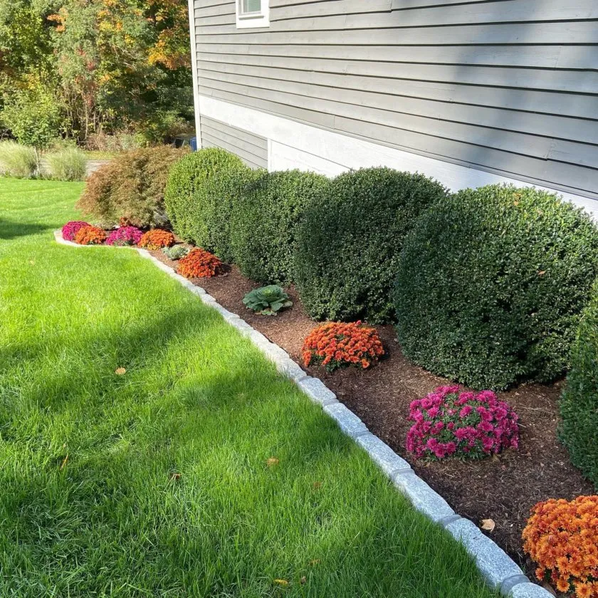 Professional yard maintenance in Clear Spring, MD - Jimenez Landscaping Services