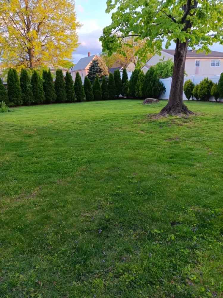 Affordable outdoor landscaping in Little Ferry, NJ by Jimenez Landscaping Services