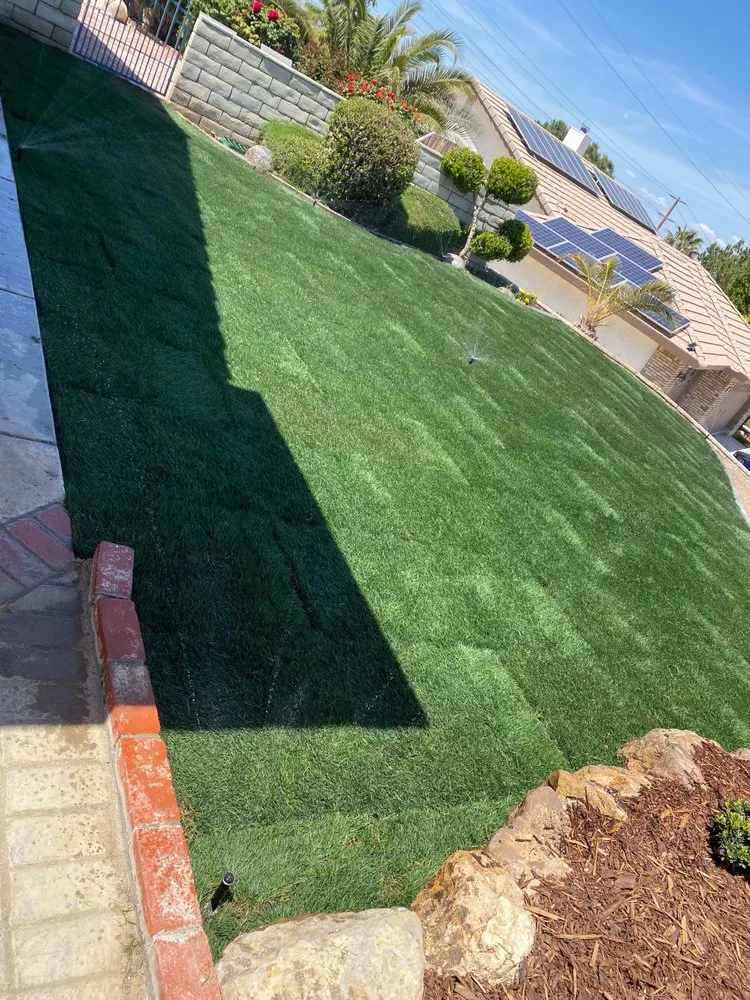 Reliable lawn care service in Taft, CA by Jimenez Landscaping