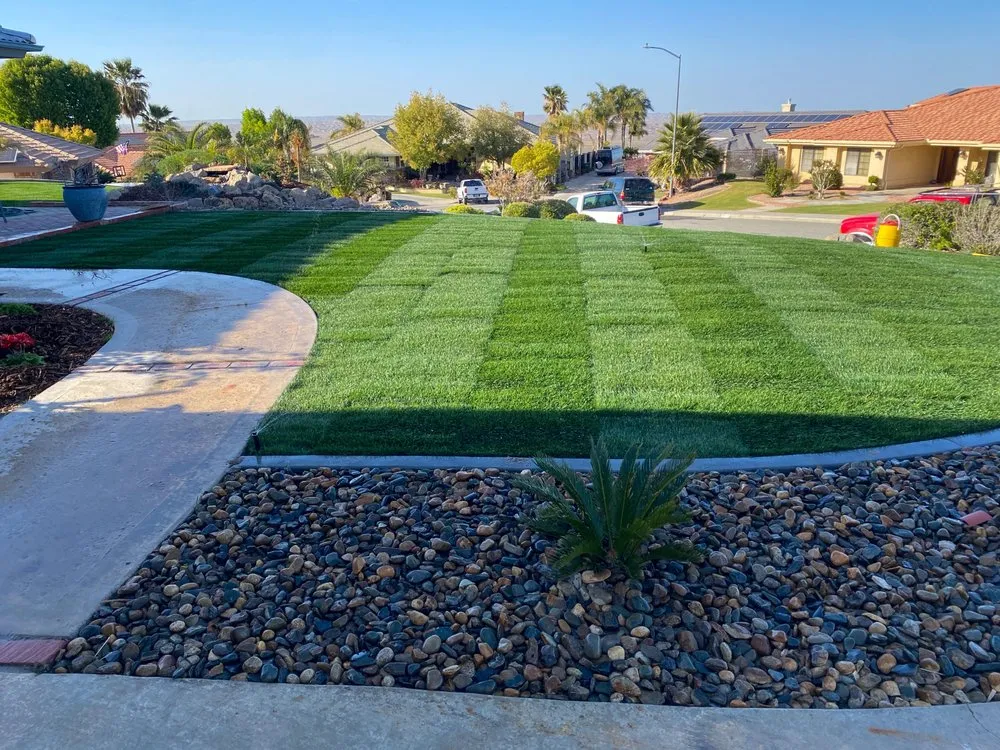 Affordable landscape installation for year-round maintenance in Taft, CA by Jimenez Landscaping