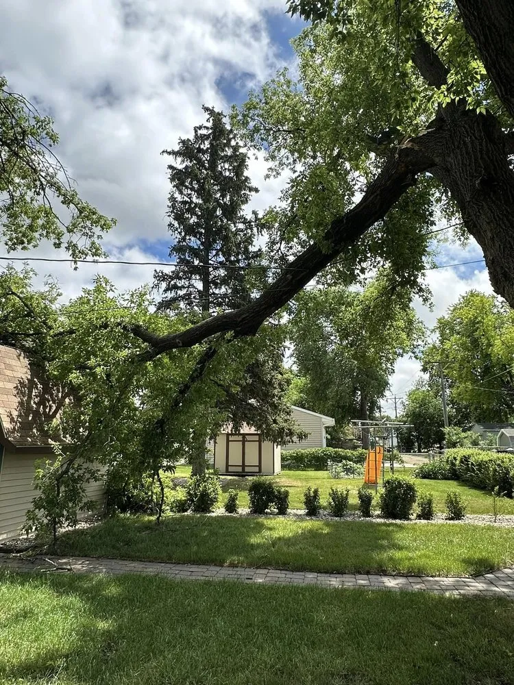 Professional landscape design in sudbury, MA by Jimenez Lanscaping