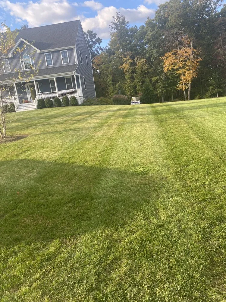 Professional yard cleanup service in sudbury, MA - Jimenez Lanscaping
