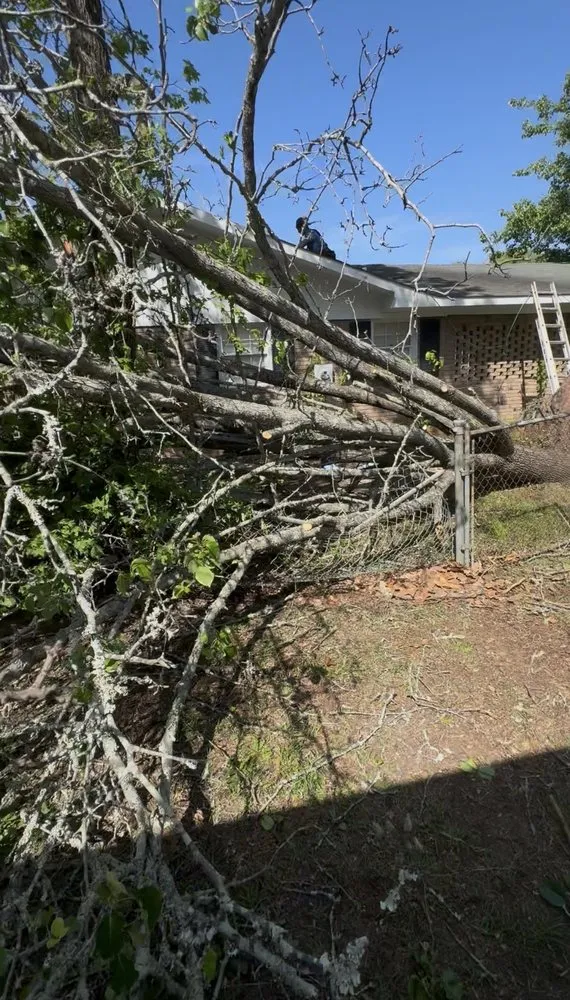 Local residential landscaping in Perry, GA - Jimenez Lawn Care