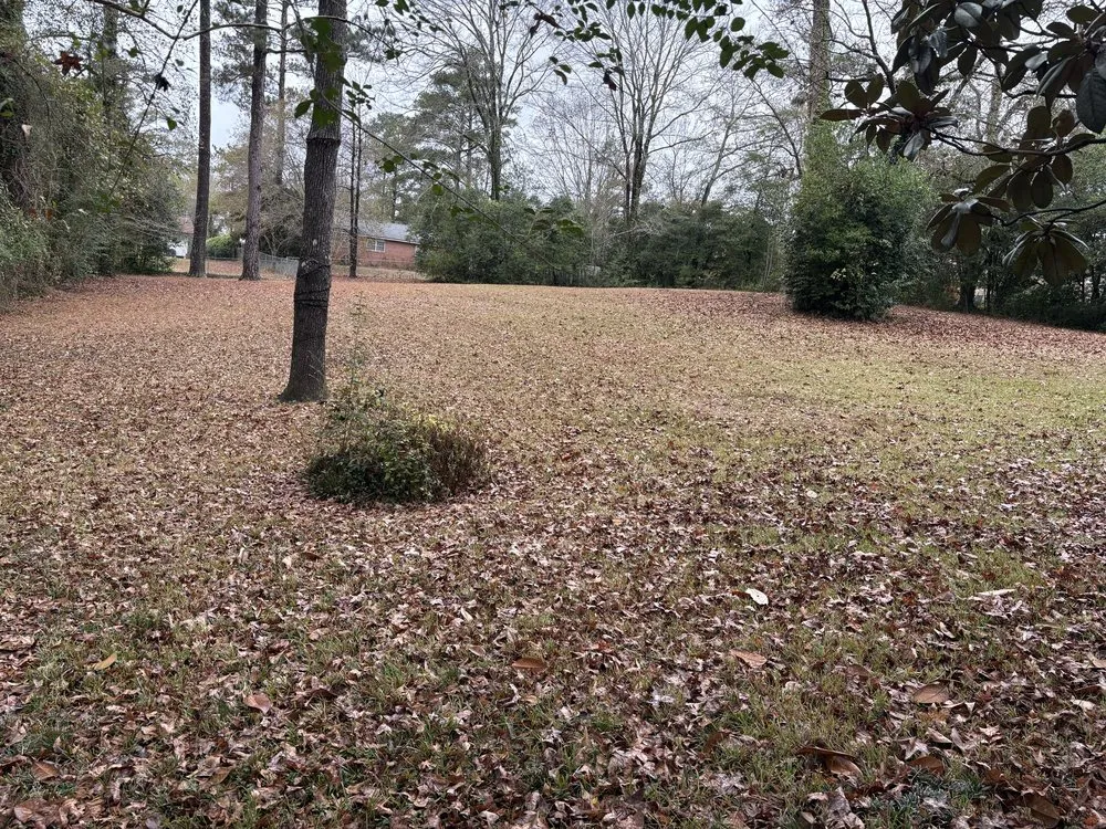 Reliable yard cleanup service for residential properties in Perry, GA by Jimenez Lawn Care