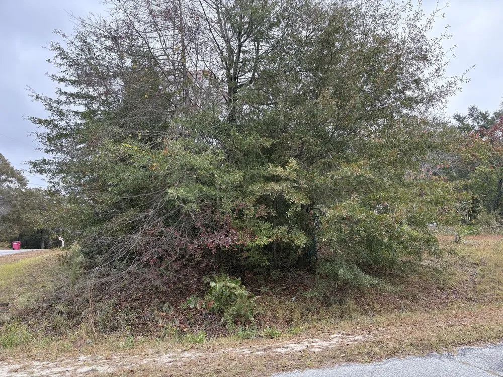 Custom yard maintenance with custom design in Perry, GA by Jimenez Lawn Care