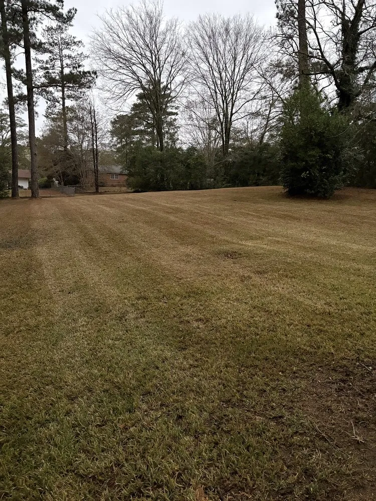 Local residential landscaping experts serving Perry, GA - Jimenez Lawn Care