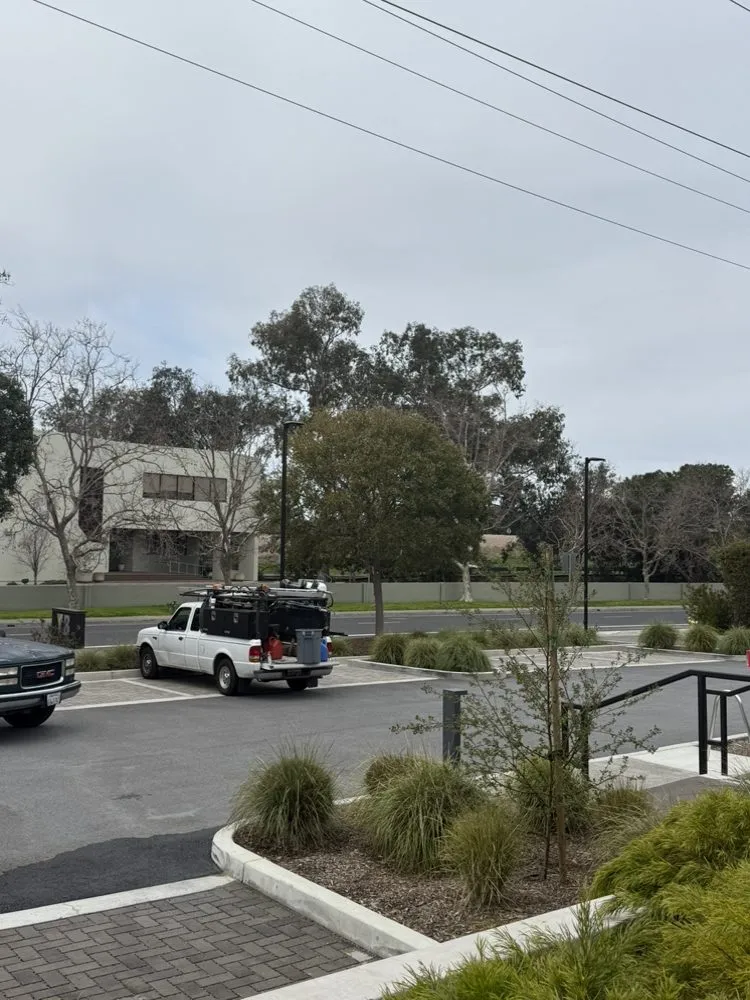 Local yard maintenance near you across Fremont, CA - Jimenez Nopales Gardening & Landscaping