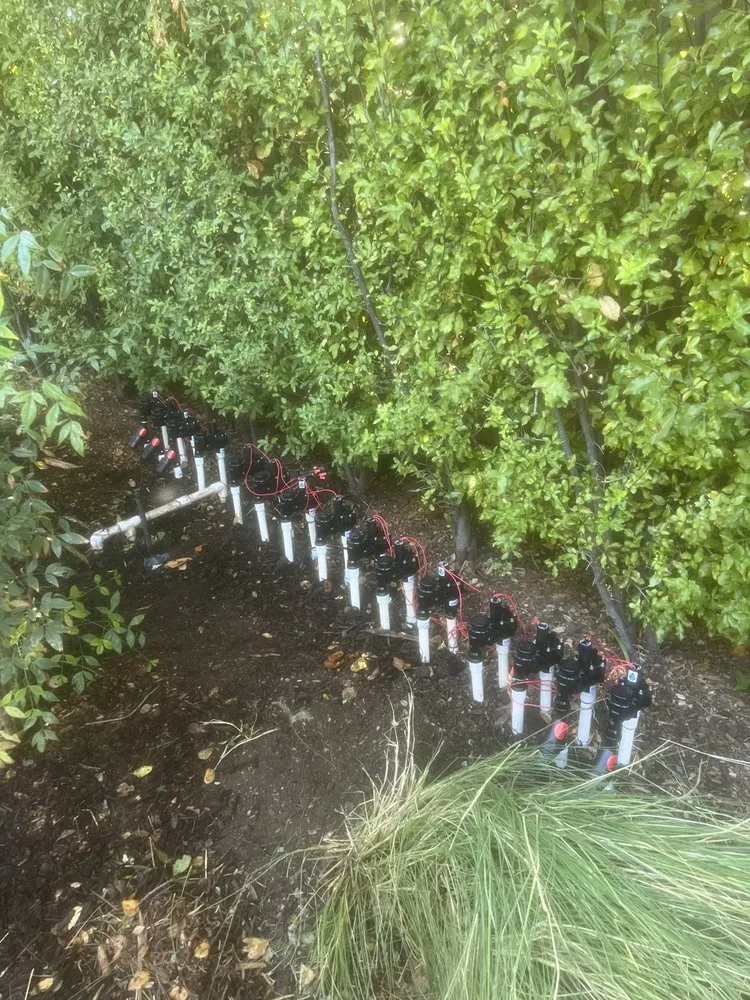 Expert residential landscaping in Fremont, CA - Jimenez Nopales Gardening & Landscaping