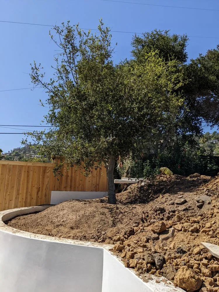 Professional yard maintenance experts serving Carpinteria, CA - Jimenez Nursery & Landscapes