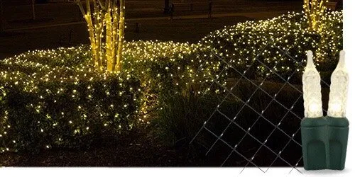 Expert landscape design experts serving Cibolo, TX - Jimenez Tree & Lawn Service