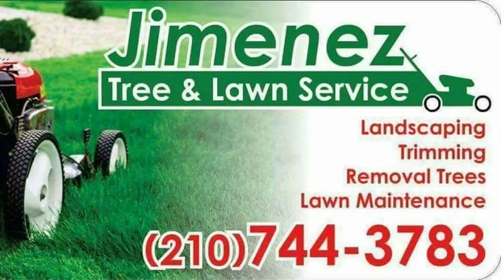 Professional yard cleanup service experts serving Cibolo, TX - Jimenez Tree & Lawn Service