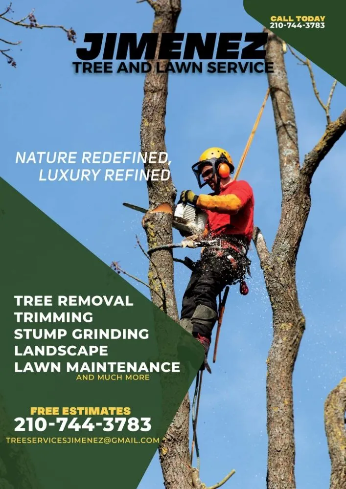 Reliable outdoor landscaping in Cibolo, TX - Jimenez Tree & Lawn Service