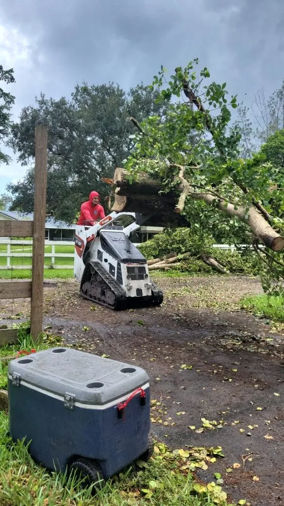 Trusted outdoor landscaping experts serving Montgomery Village, MD - Jimenez Tree Service & Landscaping