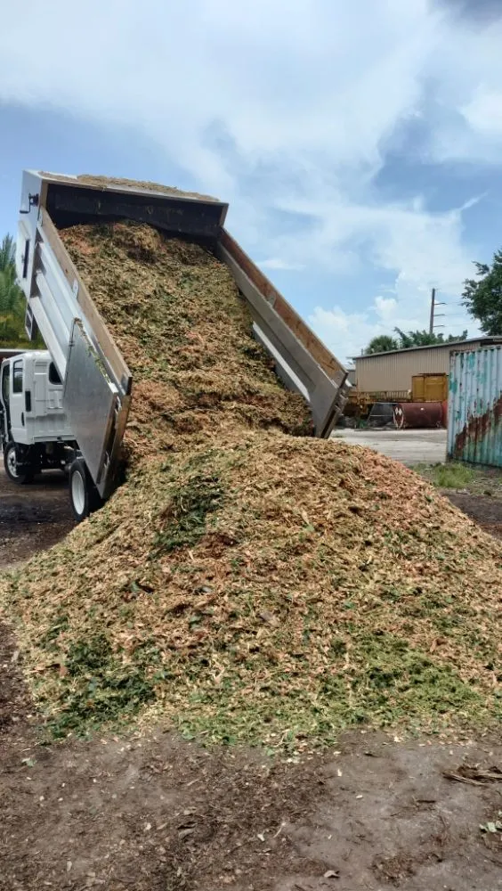 Reliable outdoor landscaping experts serving Montgomery Village, MD - Jimenez Tree Service & Landscaping