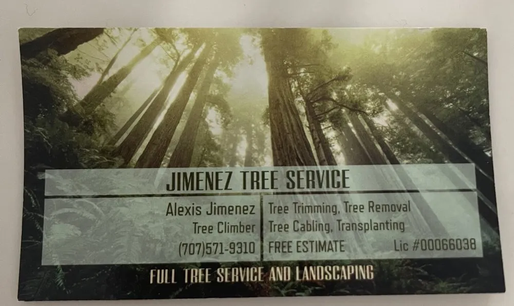 Reliable landscape design in Gustine, CA - Jimenez Tree service