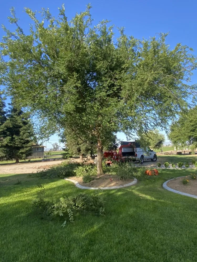 Trusted landscape design for homes in Gustine, CA by Jimenez Tree service